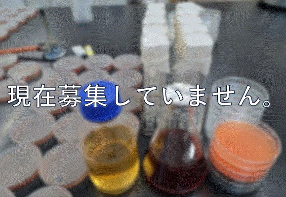 キャプチャ